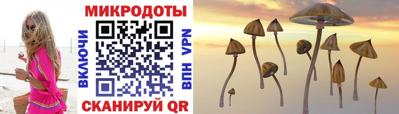 Псилоцибиновые грибы GOLDEN TEACHER  закладки  OMG рабочий сайт  Яровое 
